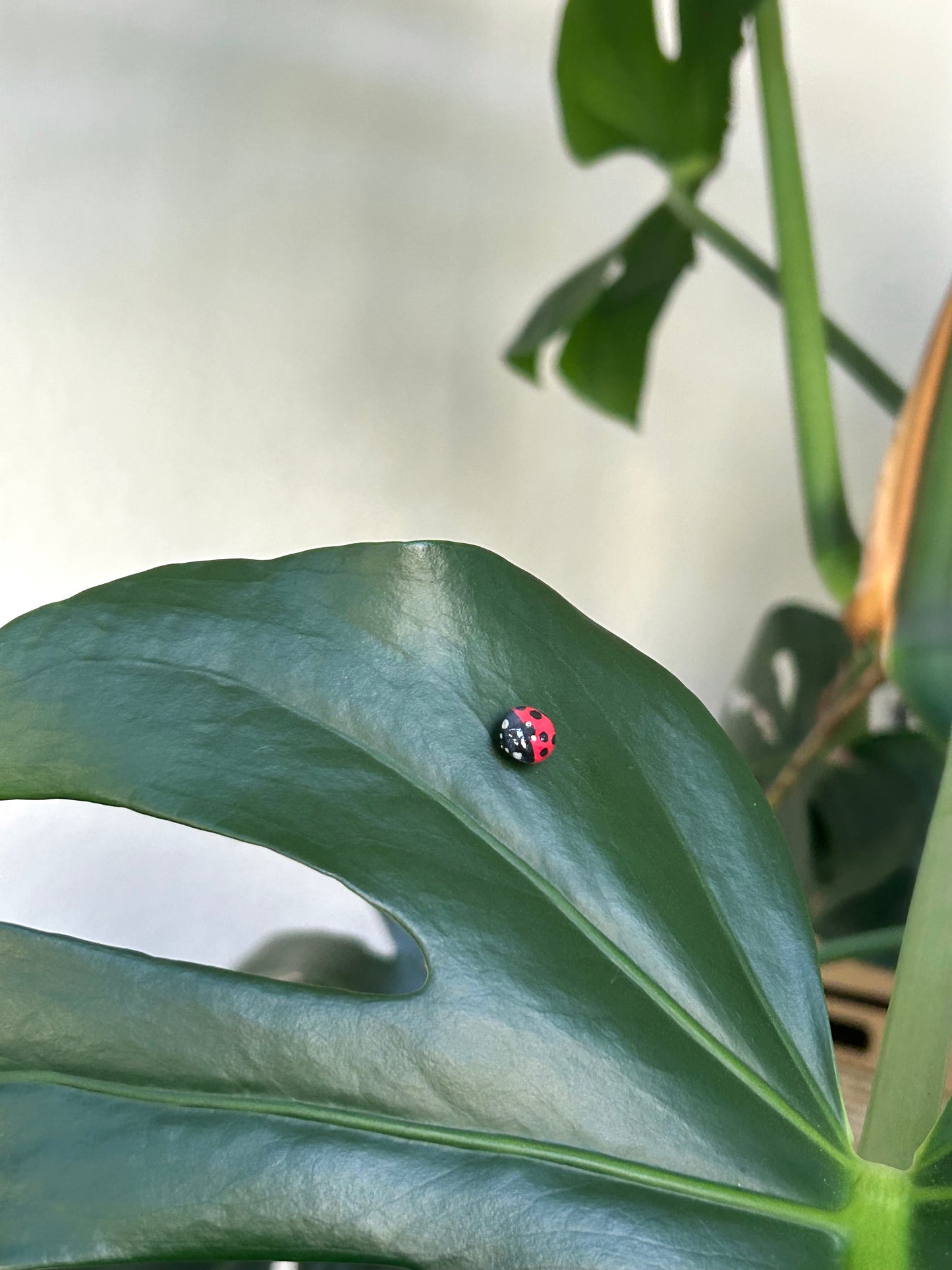 ladybug pins