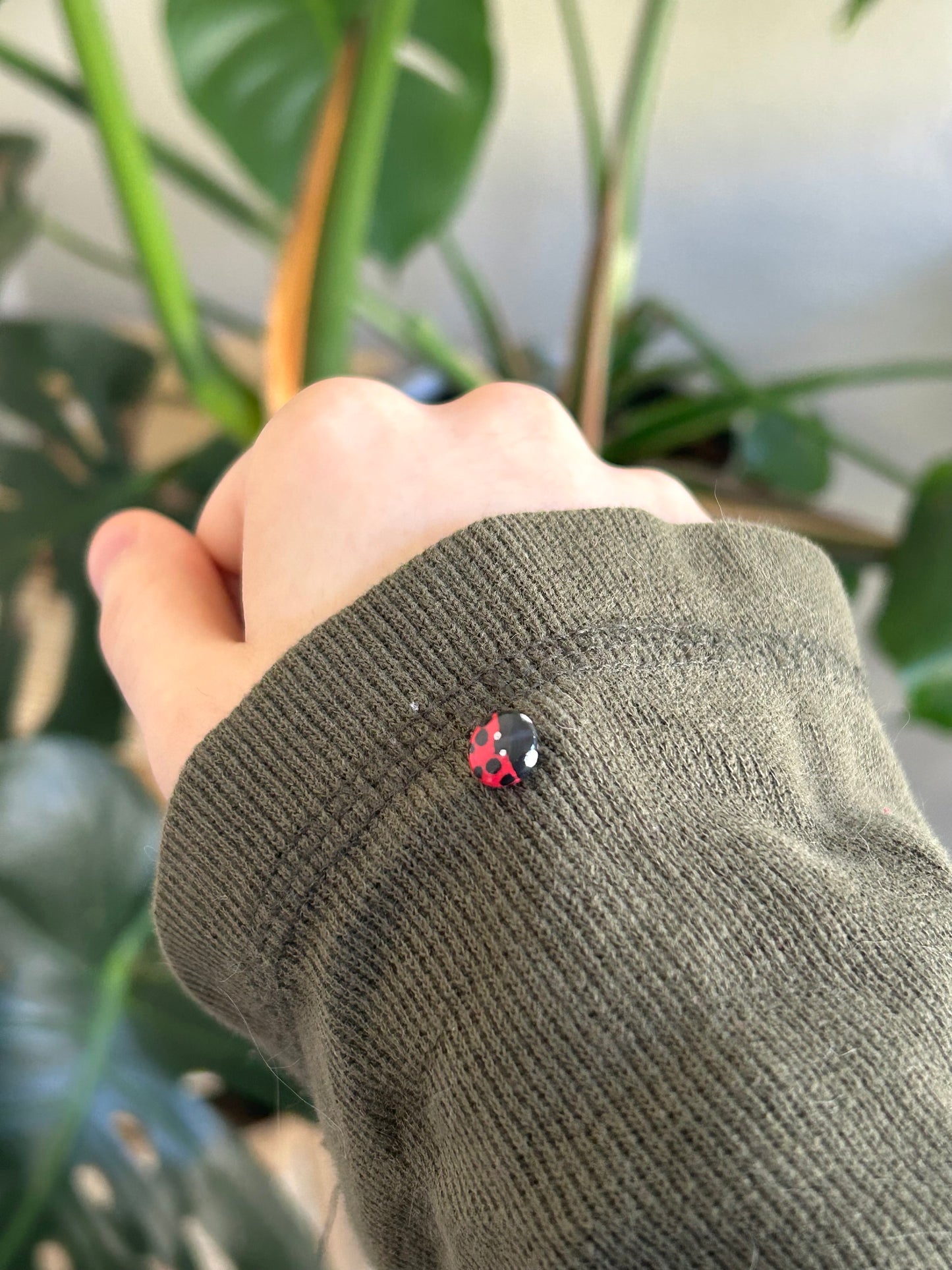 ladybug pins